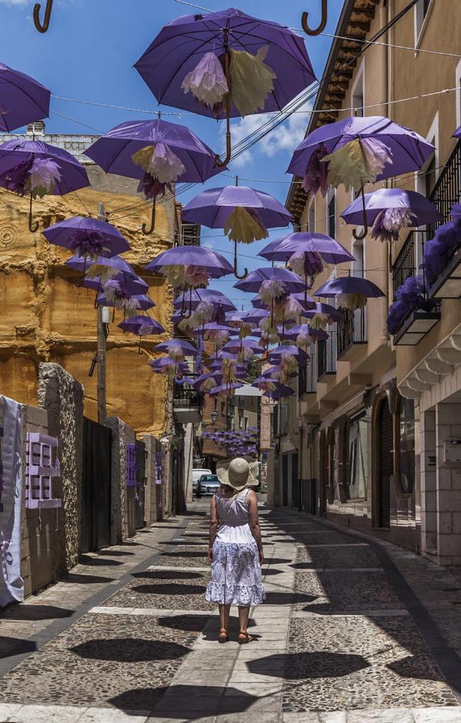 Apartamentos Tierra Lavanda Brihuega Esterno foto